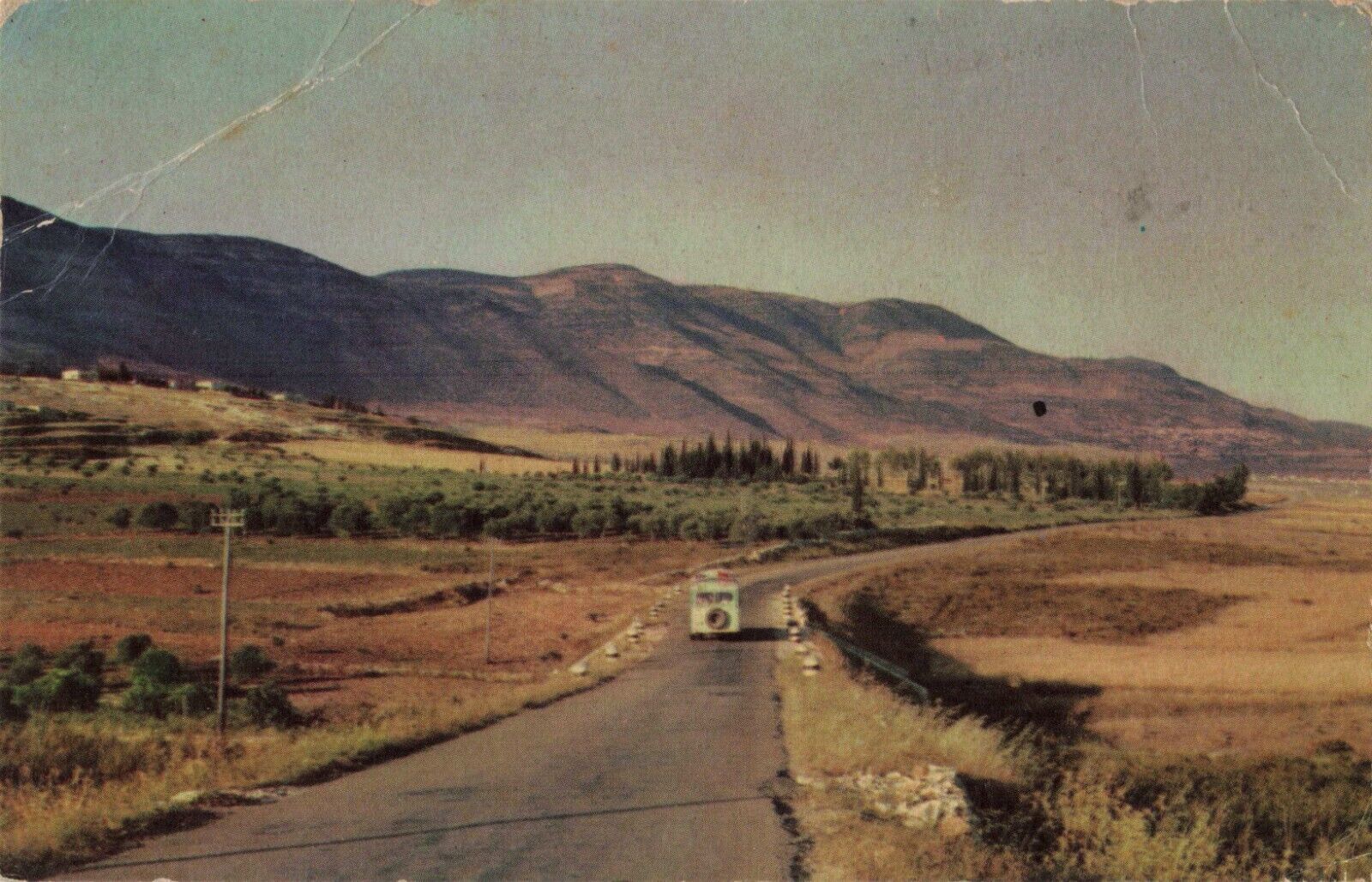 Landscape in Upper Galilee Palestine Israel Old Car c1950s Postcard