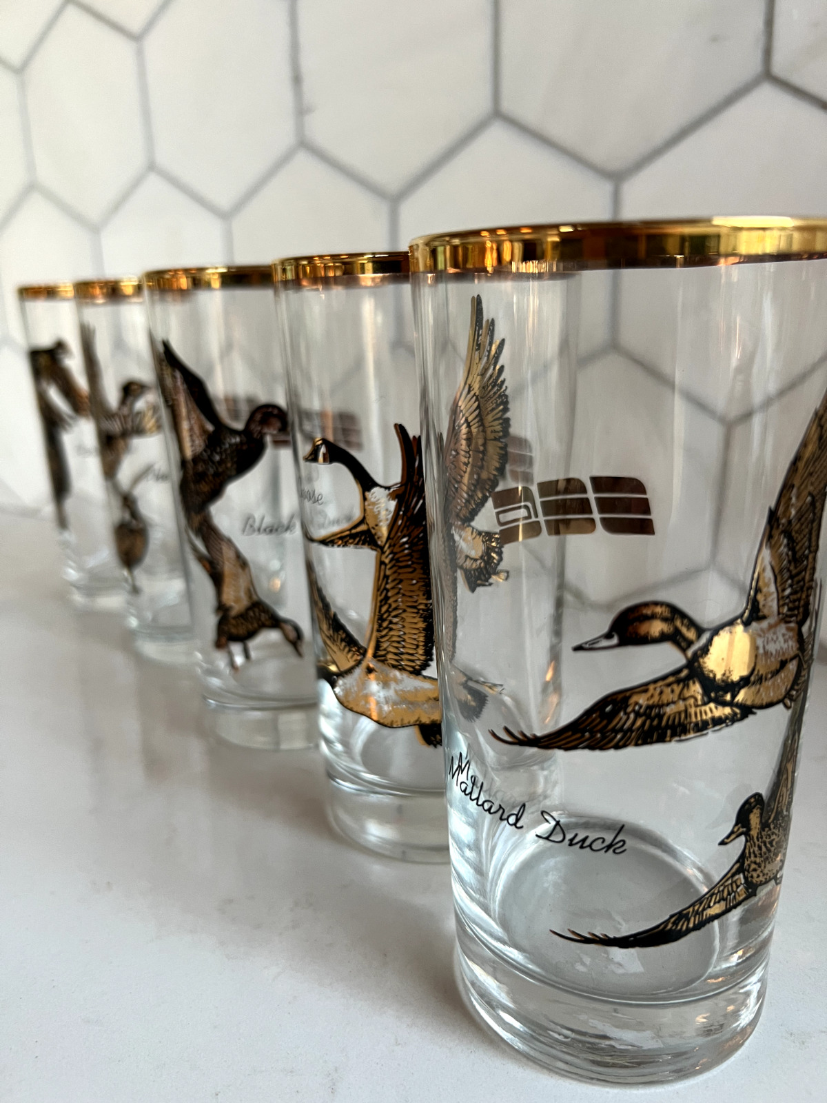 6 Vtg Galaxy Game Bird Highball Cocktail Tumblers Glasses Gold Accents MCM
