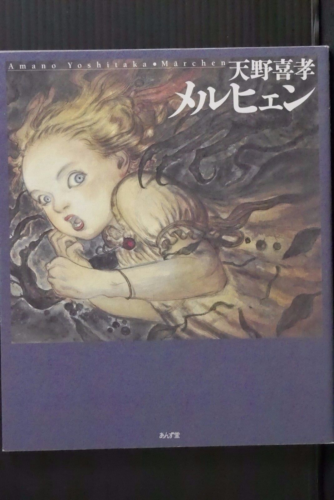 JAPAN Yoshitaka Amano Art Book: Marchen