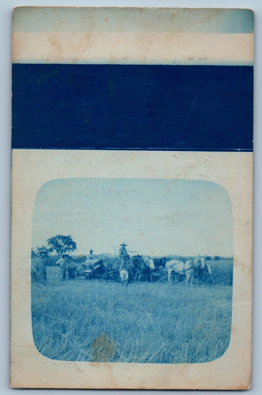 Lexington Minnesota MN Postcard RPPC Photo Farming Famers Working Cyanotype 1907