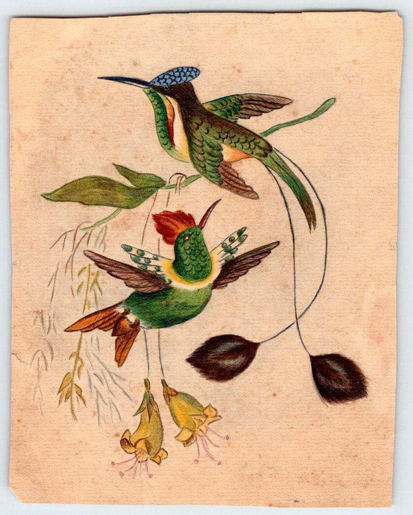 1880\'s SMALL ORIGINAL HAND PAINTED BIRDS & FLOWERS FROM AN ANTIQUE SCRAPBOOK