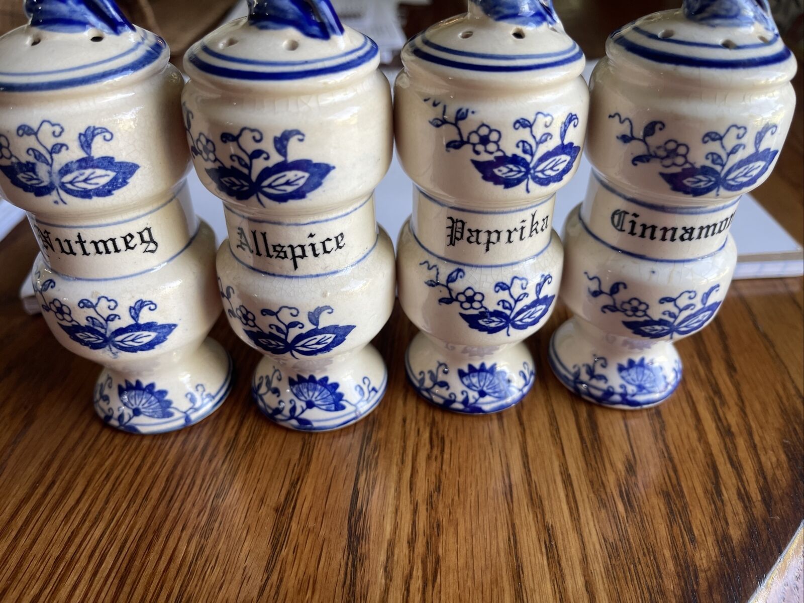 Blue Onion Spice Shakers