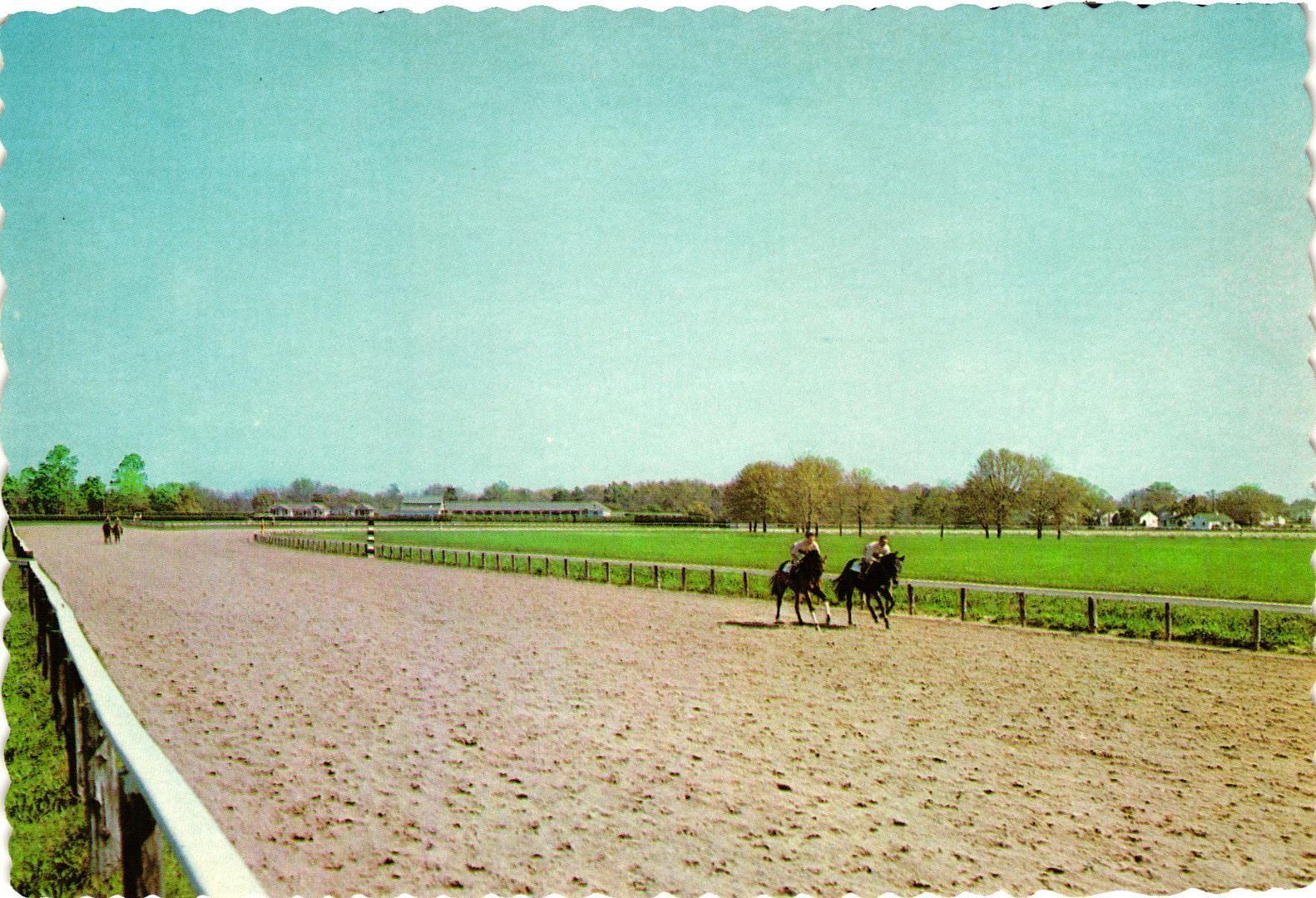 Vintage Postcard 4x6- Horses working out on a track, Aiken, SC