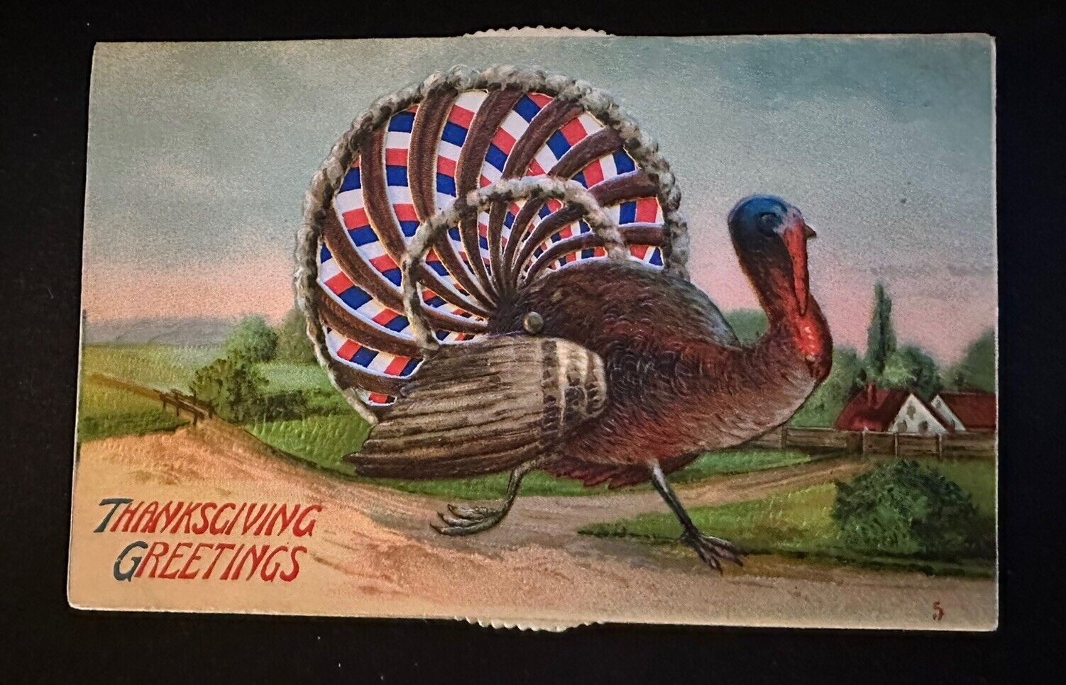 Kaleidoscope Mechanical Patriotic Turkey Thanksgiving Embossed Postcard-h-800