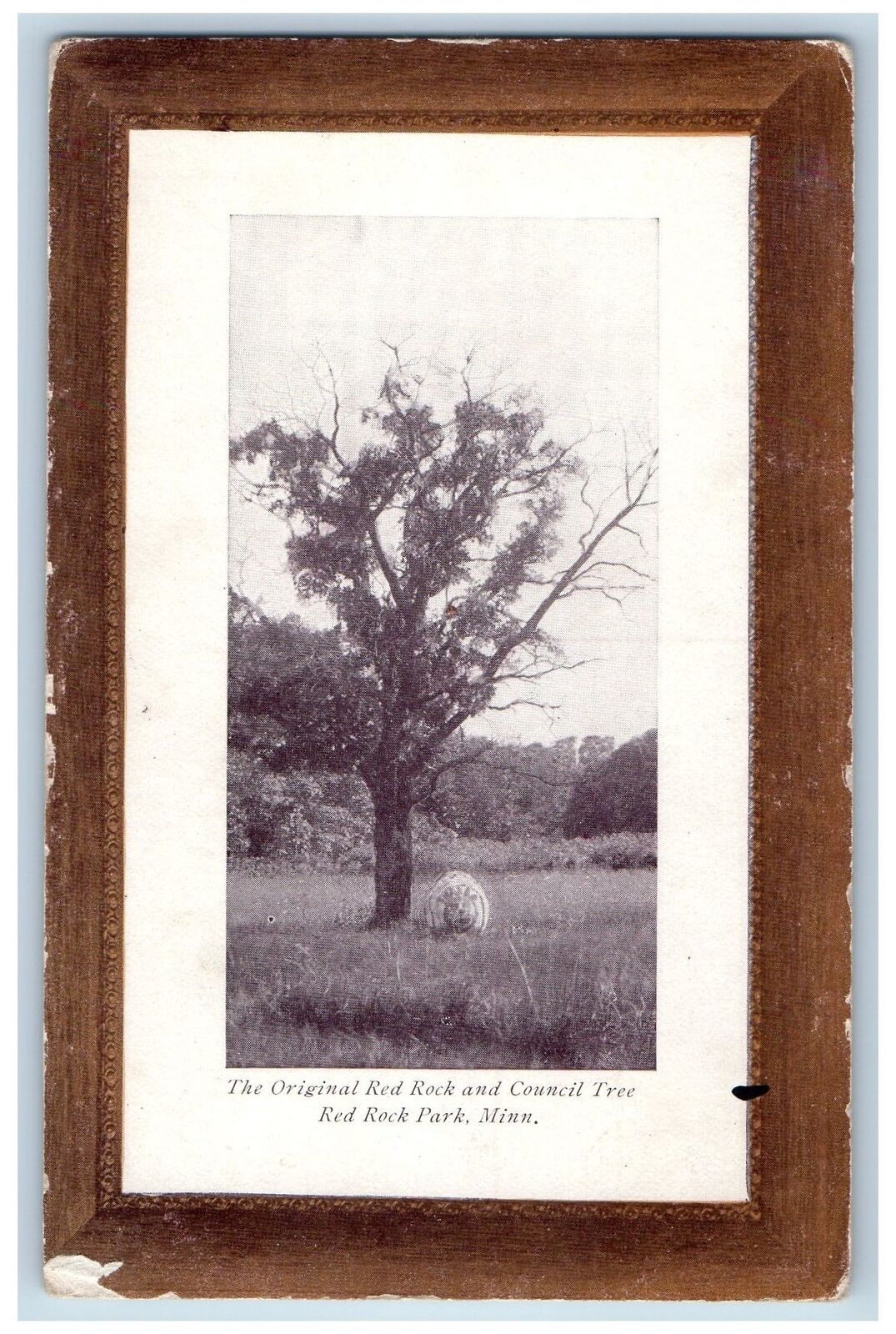 Red Rock Minnesota MN Postcard The Original Red Rock And Council Tree c1940's