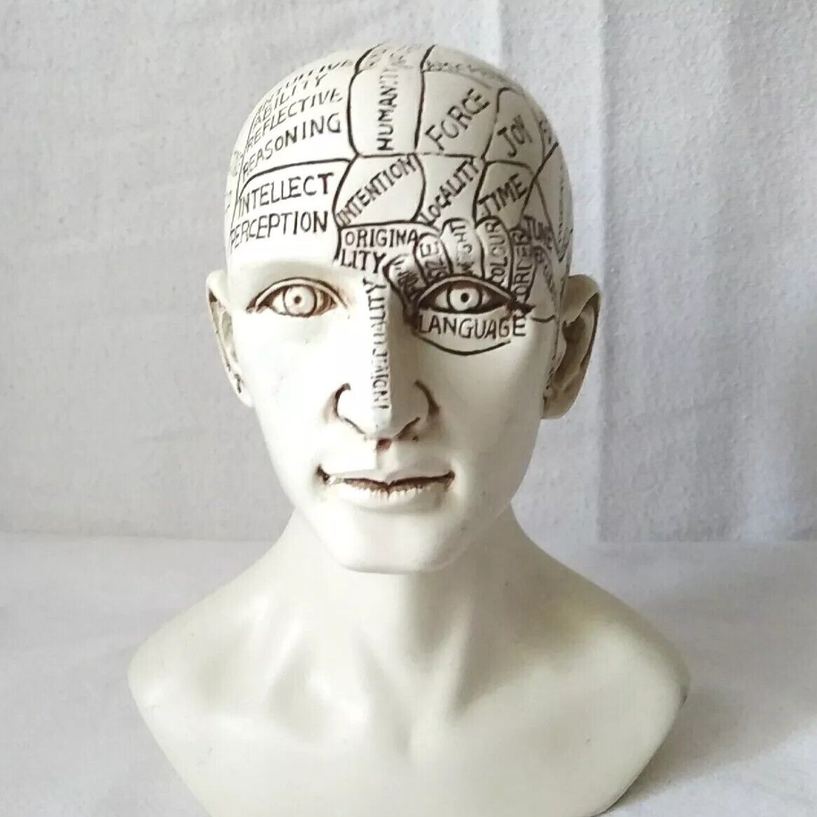 19th Century Antique Replica Science of Phrenology Head Reading Statue Bust