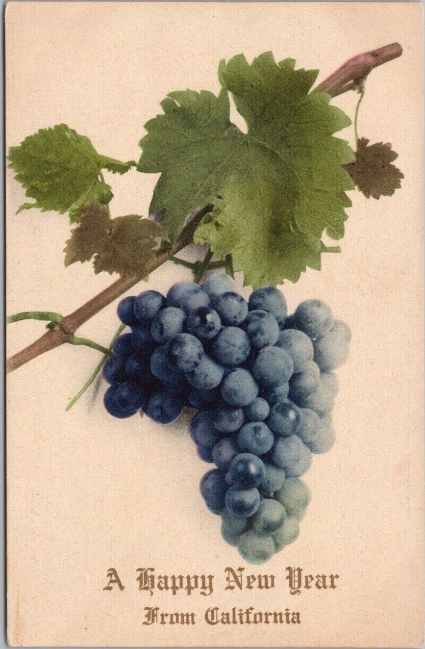 c1910s California HAPPY NEW YEAR Greetings Postcard Bunch of Grapes / Unused