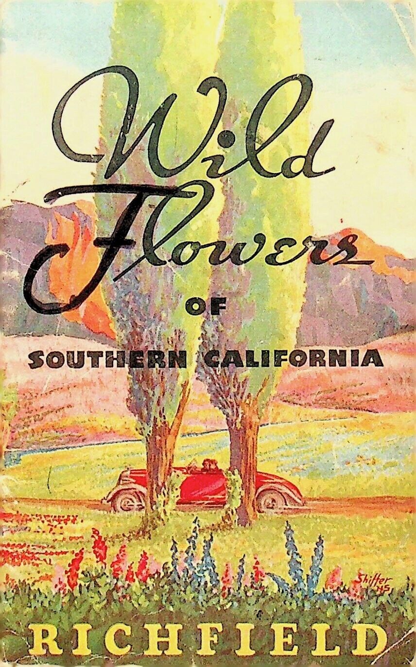 1938 WILDFLOWERS OF SOUTHERN CALIFORNIA RICHFIELD OIL BOOKLET-BB-4