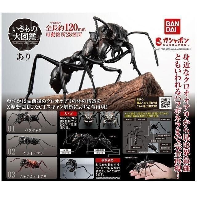 Gashapon The Diversity of Life on Earth Ant Set 3 Figure Bandai Japan Import