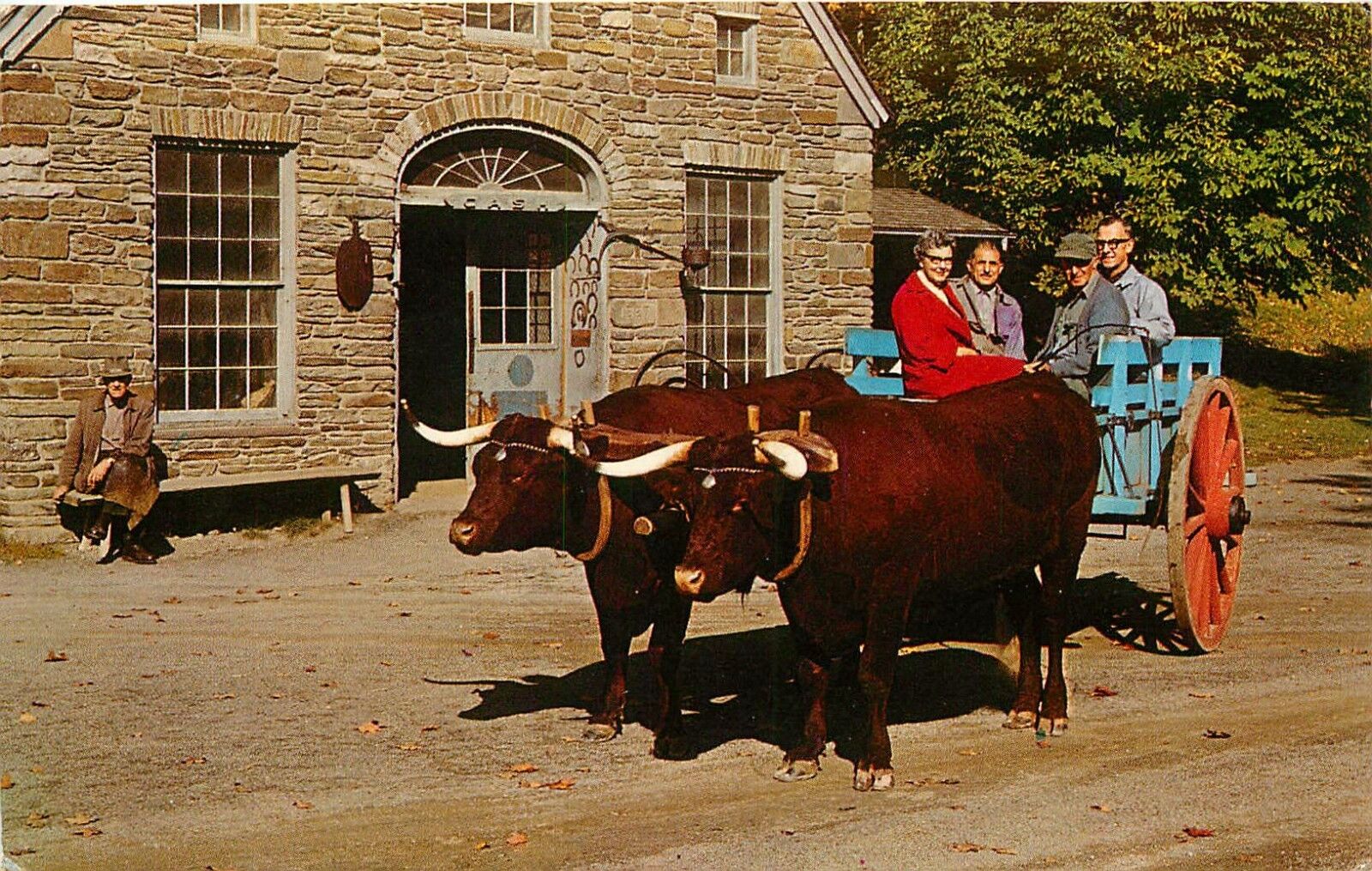 OXEN & BLACKSMITH SHOP FARMERS MUSEUM COOPERSTOWN NY POSTCARD