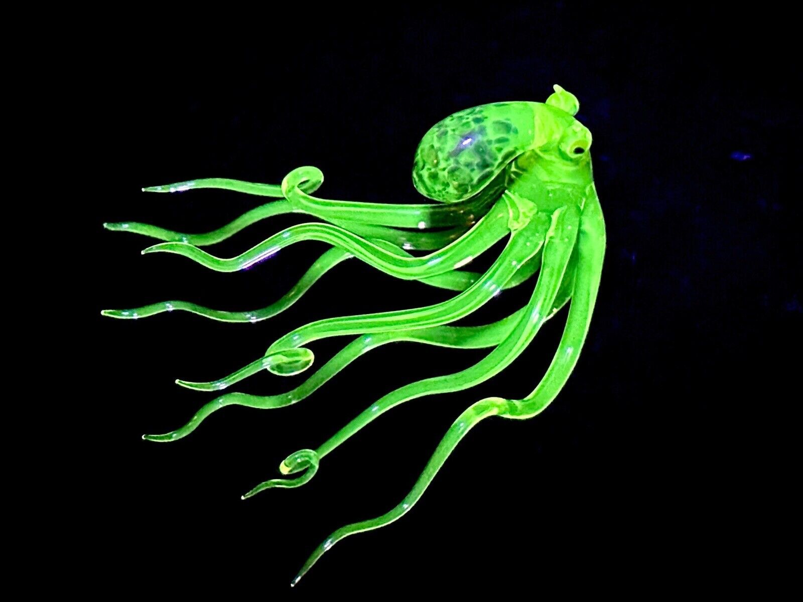 Uranium Vaseline Octopus -hand Made Custom Piece
