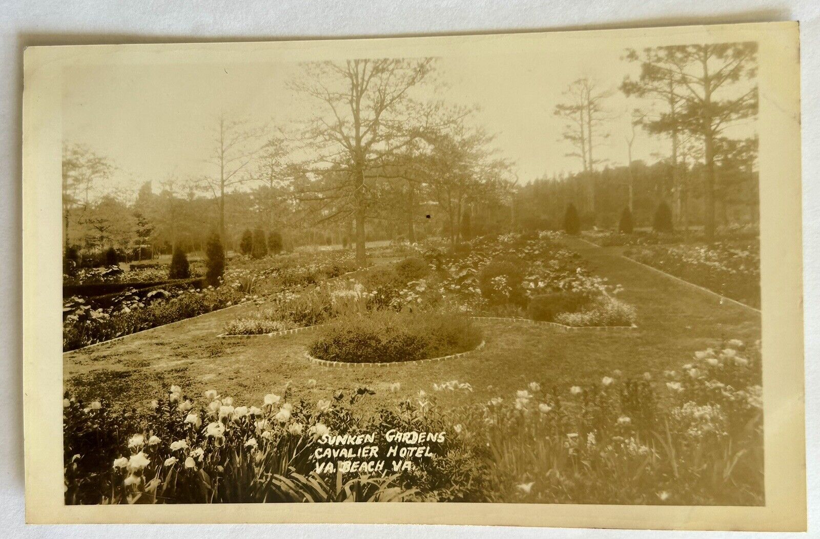 Cavalier Hotel Sunken Garden. Virginia Beach, VA. RPPC. Real Photo Postcard.