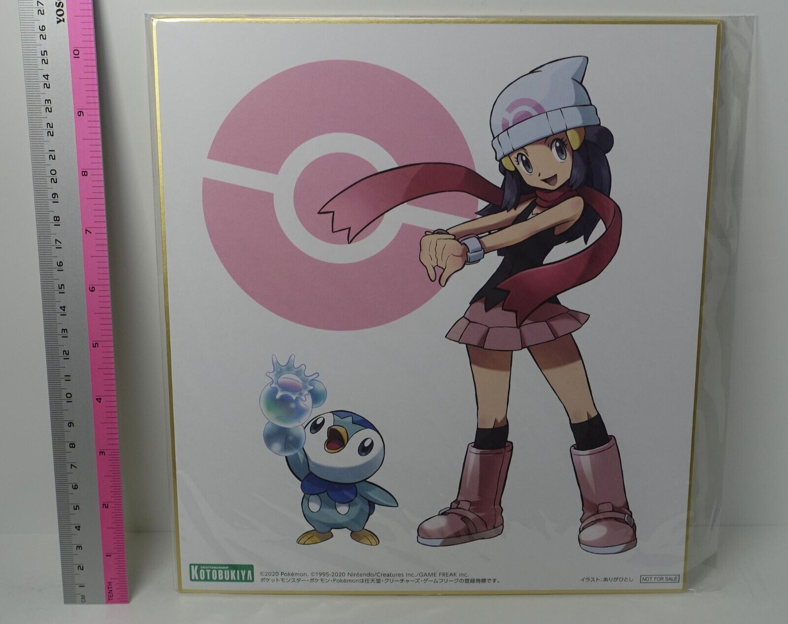 Hitoshi Ariga Pocket Monster HIKARI with POCHAMA Printed Art Board Pokemon