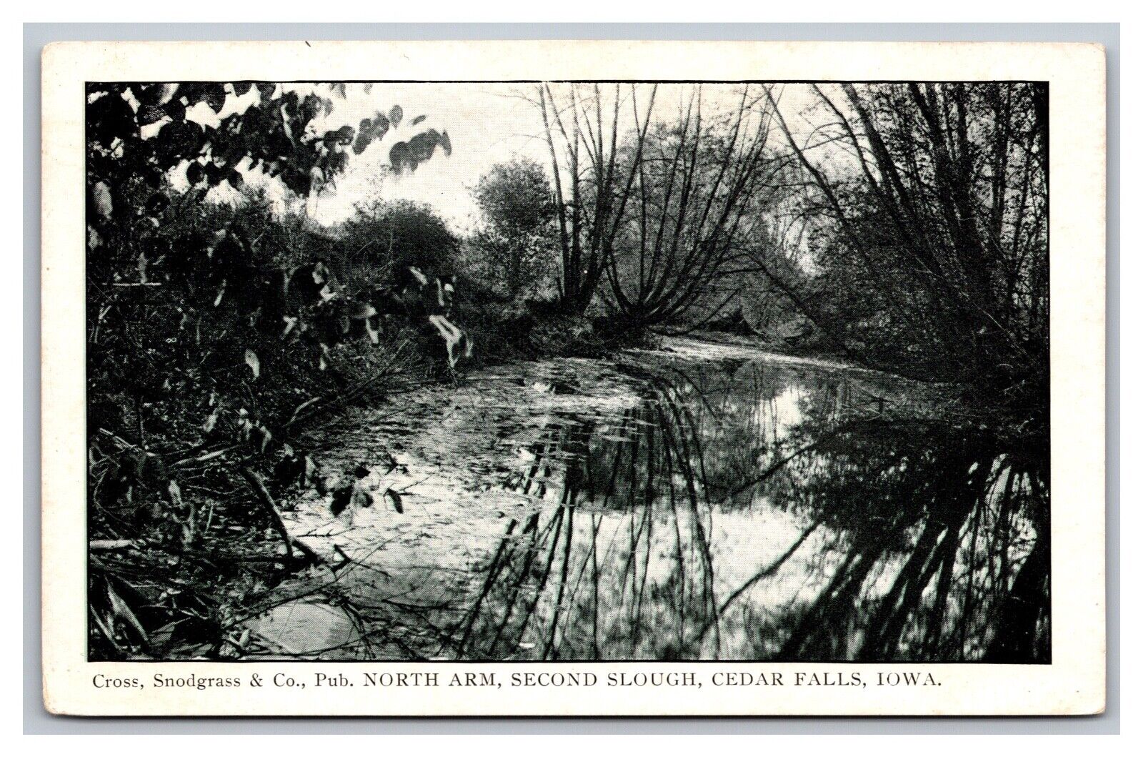 Cedar Falls IA Iowa North Arm, Second Slough, Unposted White Border Postcard