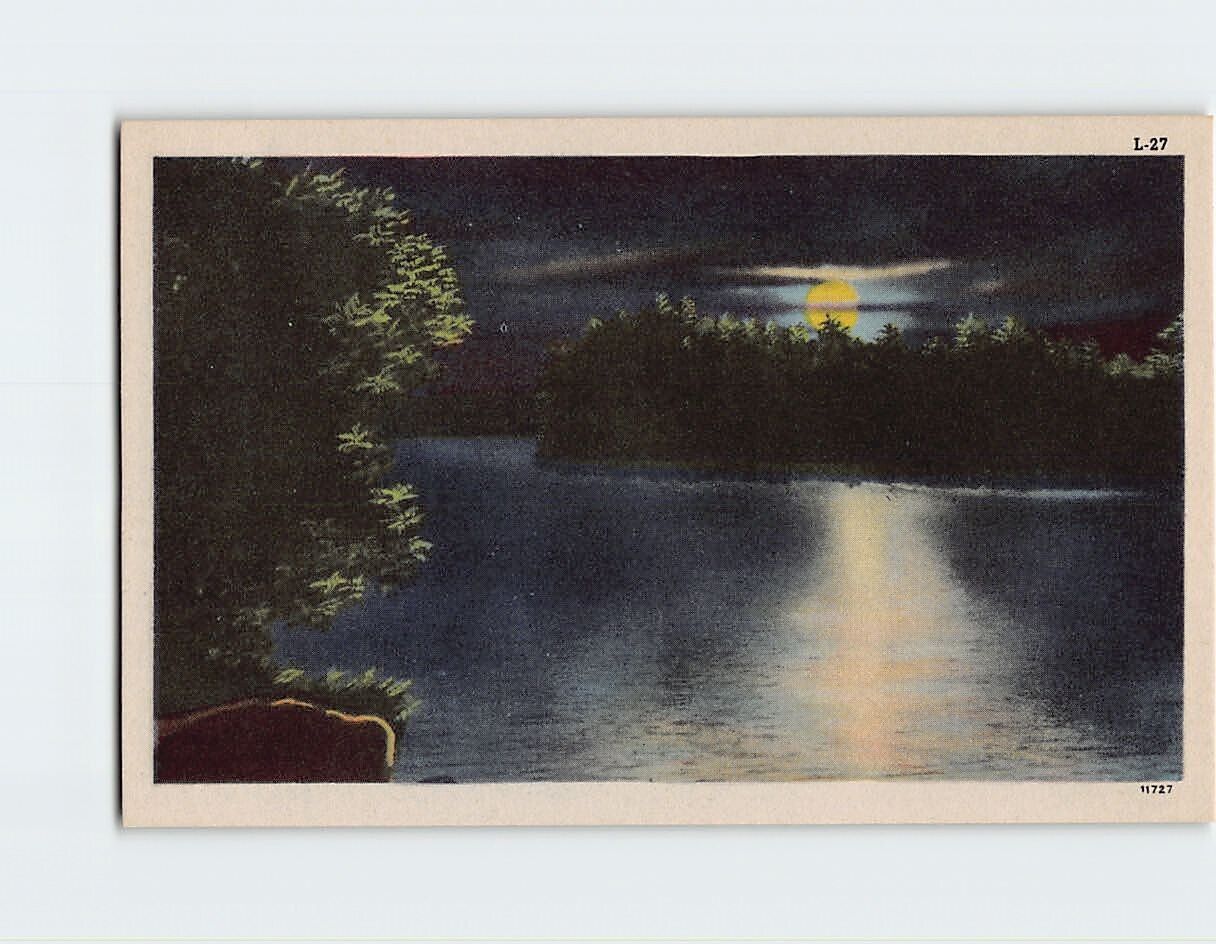Postcard Lake Trees Evening Scenery