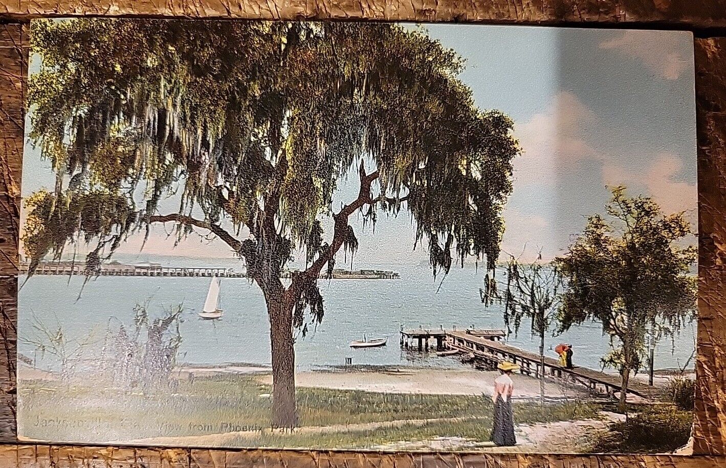 Jacksonville,Fla - View From Phoenix Park - Postcard C. 1907-1915
