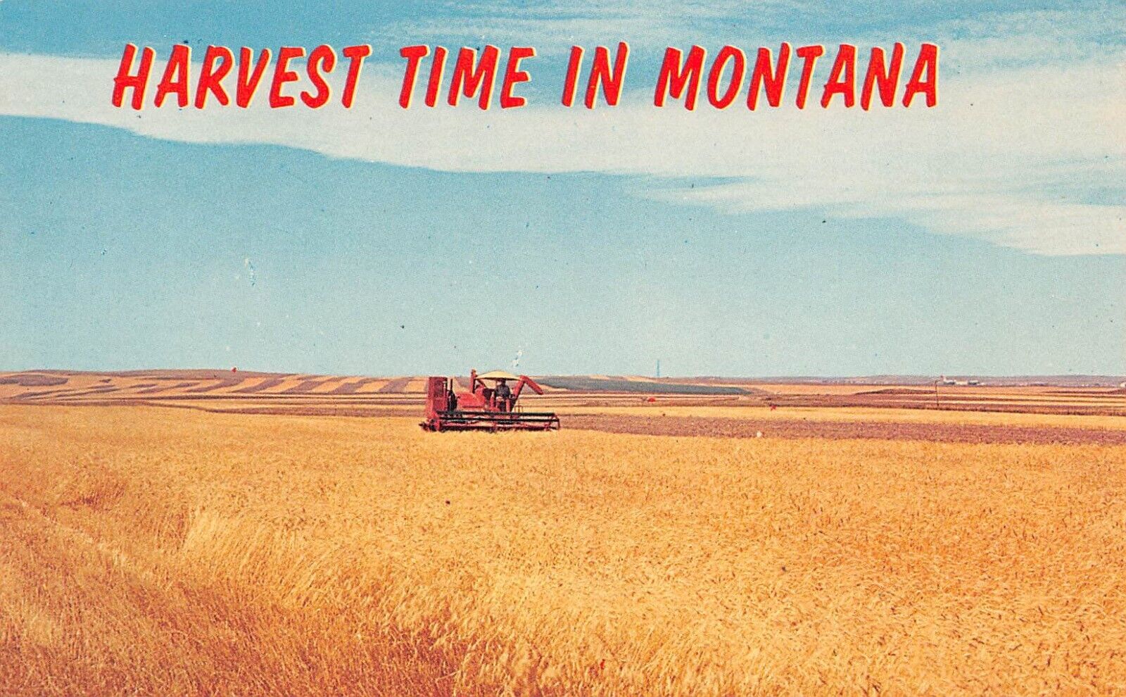 Harvest Time in Montana c1950 Postcard 4248