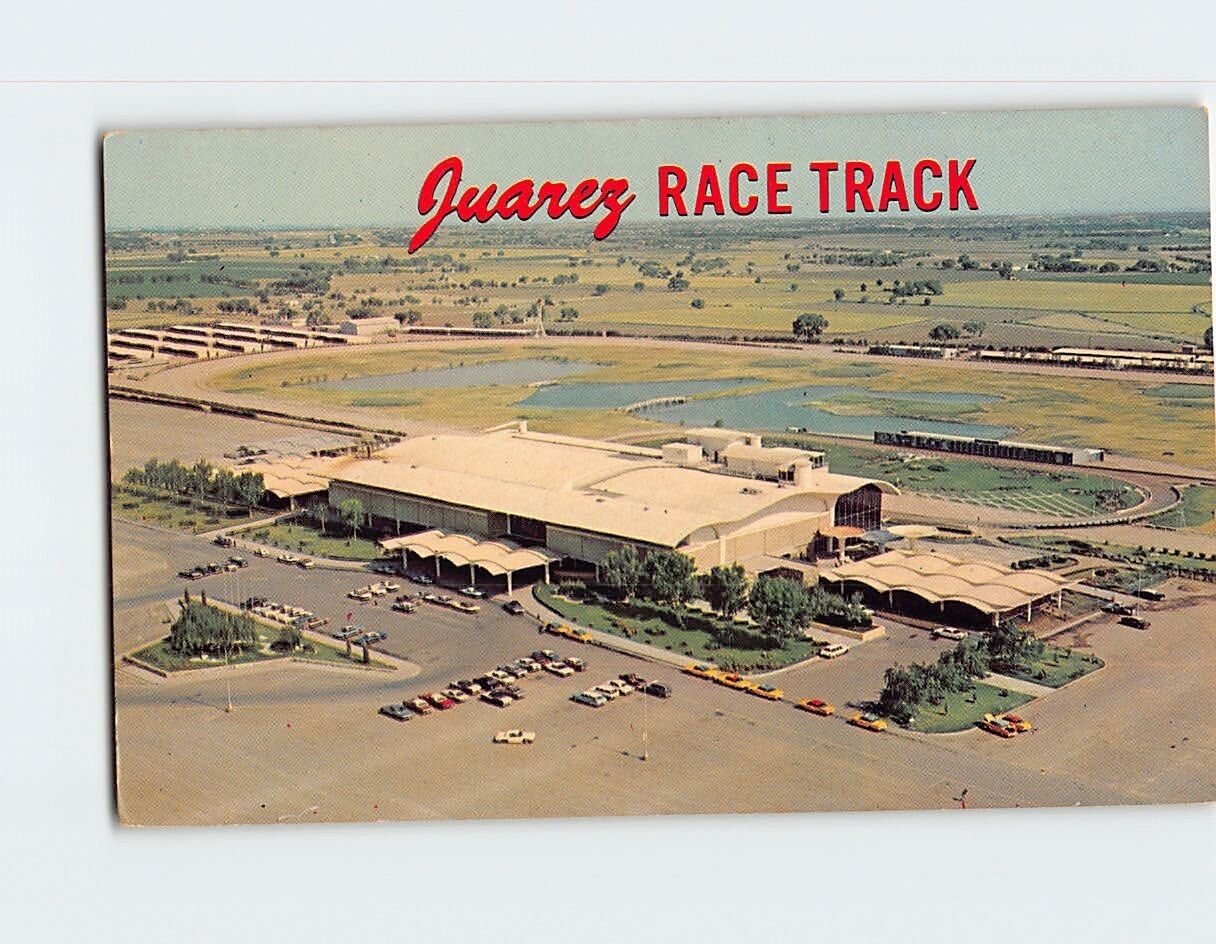 Postcard Juarez Racetrack Juarez Mexico