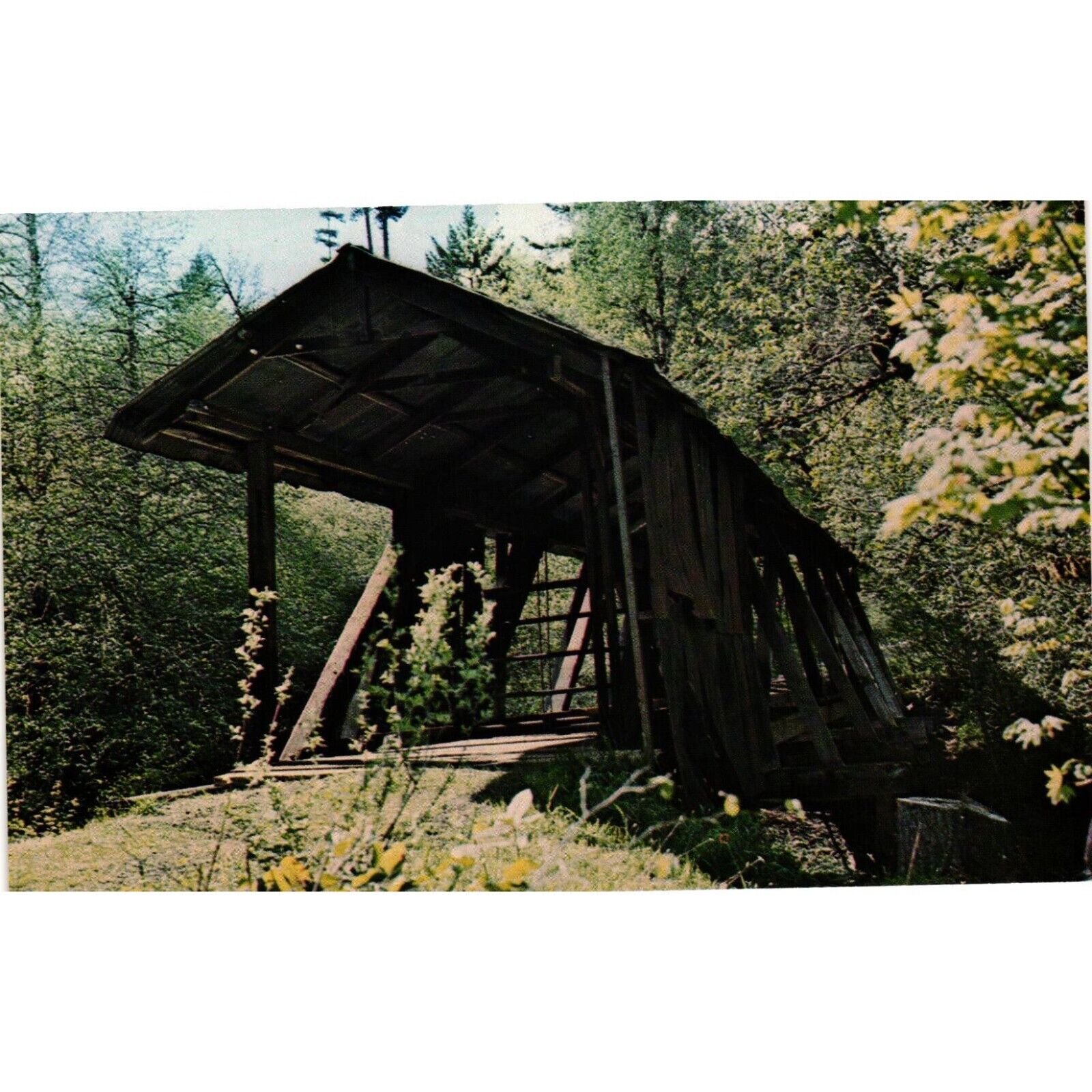 Oregon Polk Co Pumping Station Covered Bridge Postcards Travel Souvenir Unposted