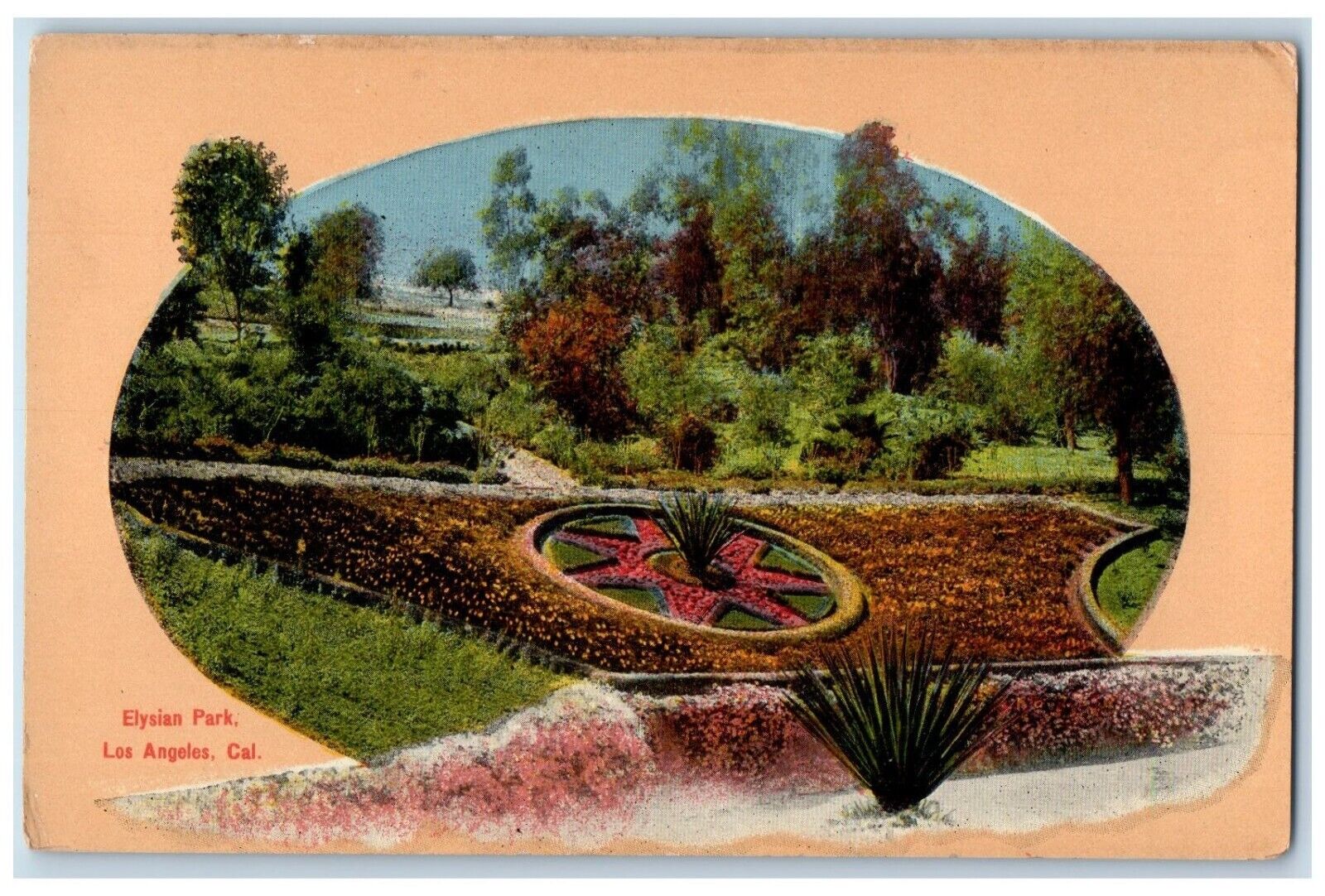 c1910 Elysian Park Flower Trees Los Angeles California Vintage Antique Postcard