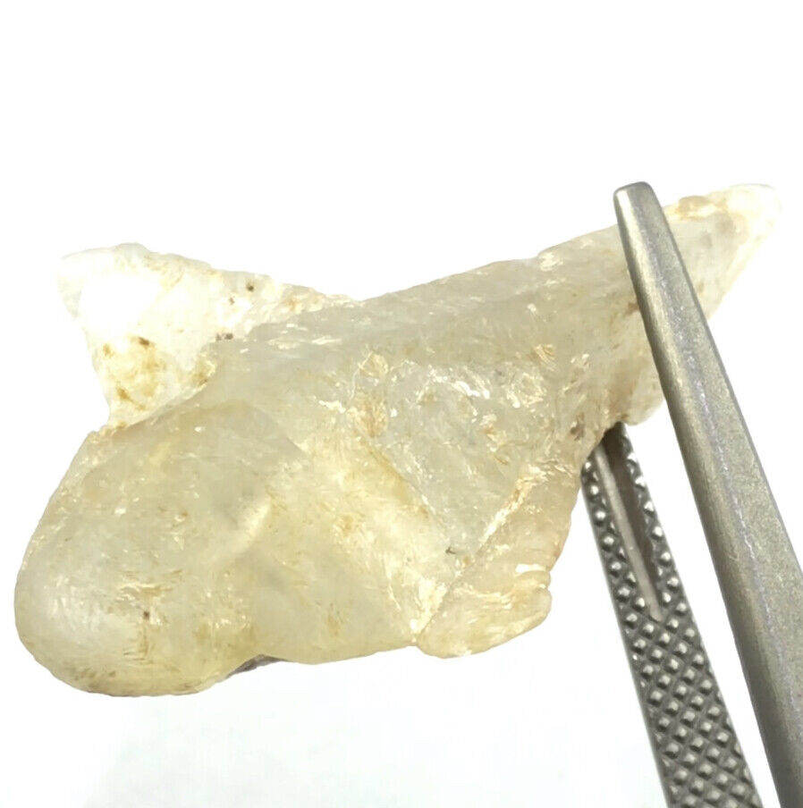 18.78cts Sapphire Crystal Prehistoric Shark Shape Sri Lanka Untreated Natural