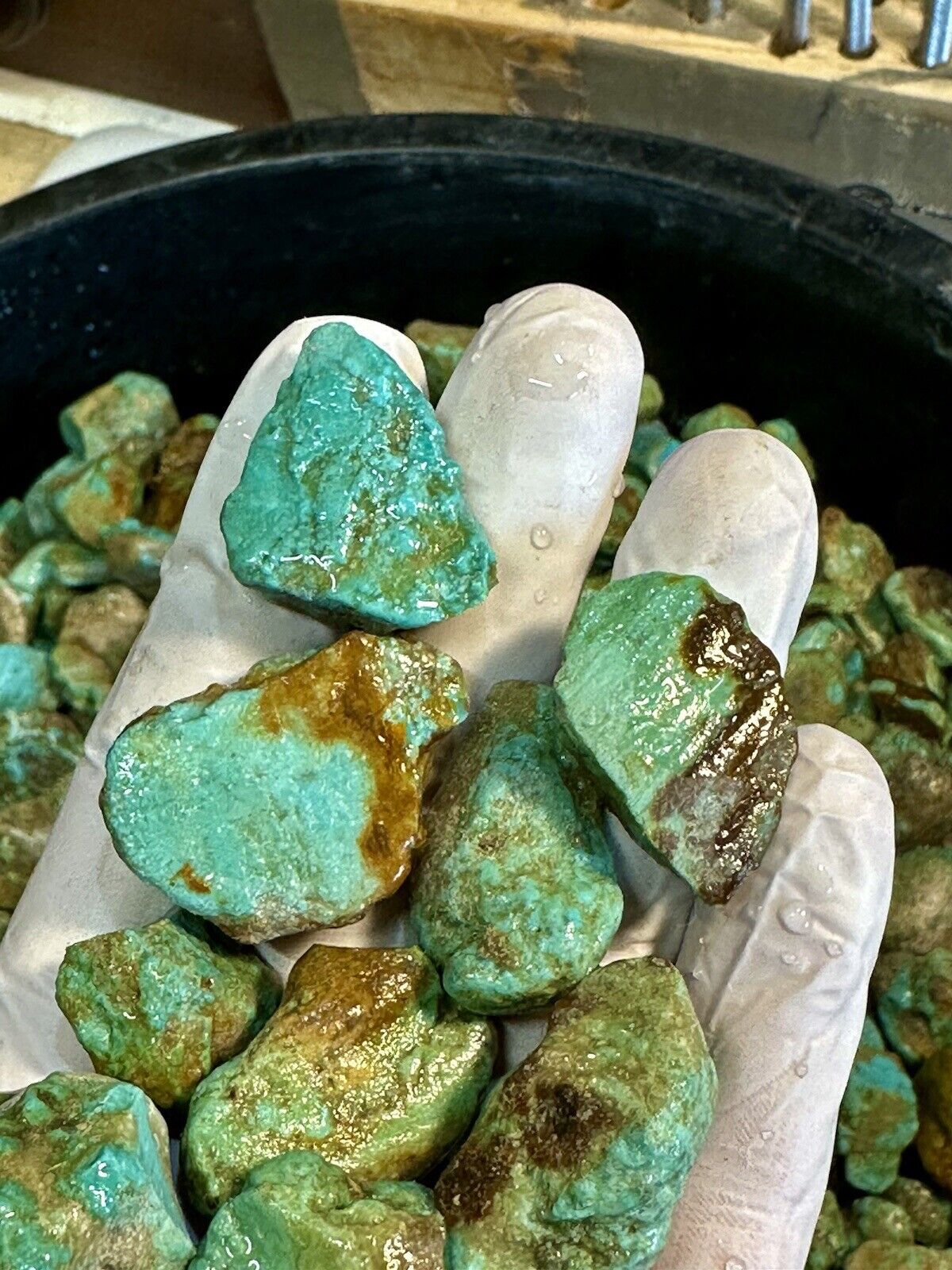 SPECIAL: Quality Kaolin Turquoise Nugs. 1 LB of Beautiful High Blues.