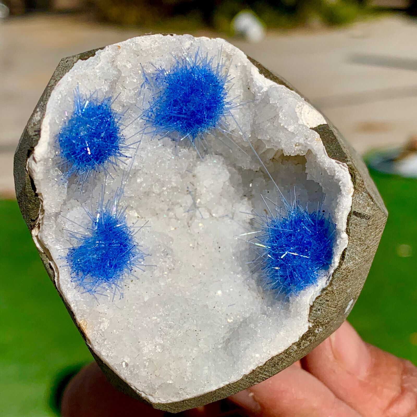 439G Rare Moroccan blue magnesite and quartz crystal coexisting specimen