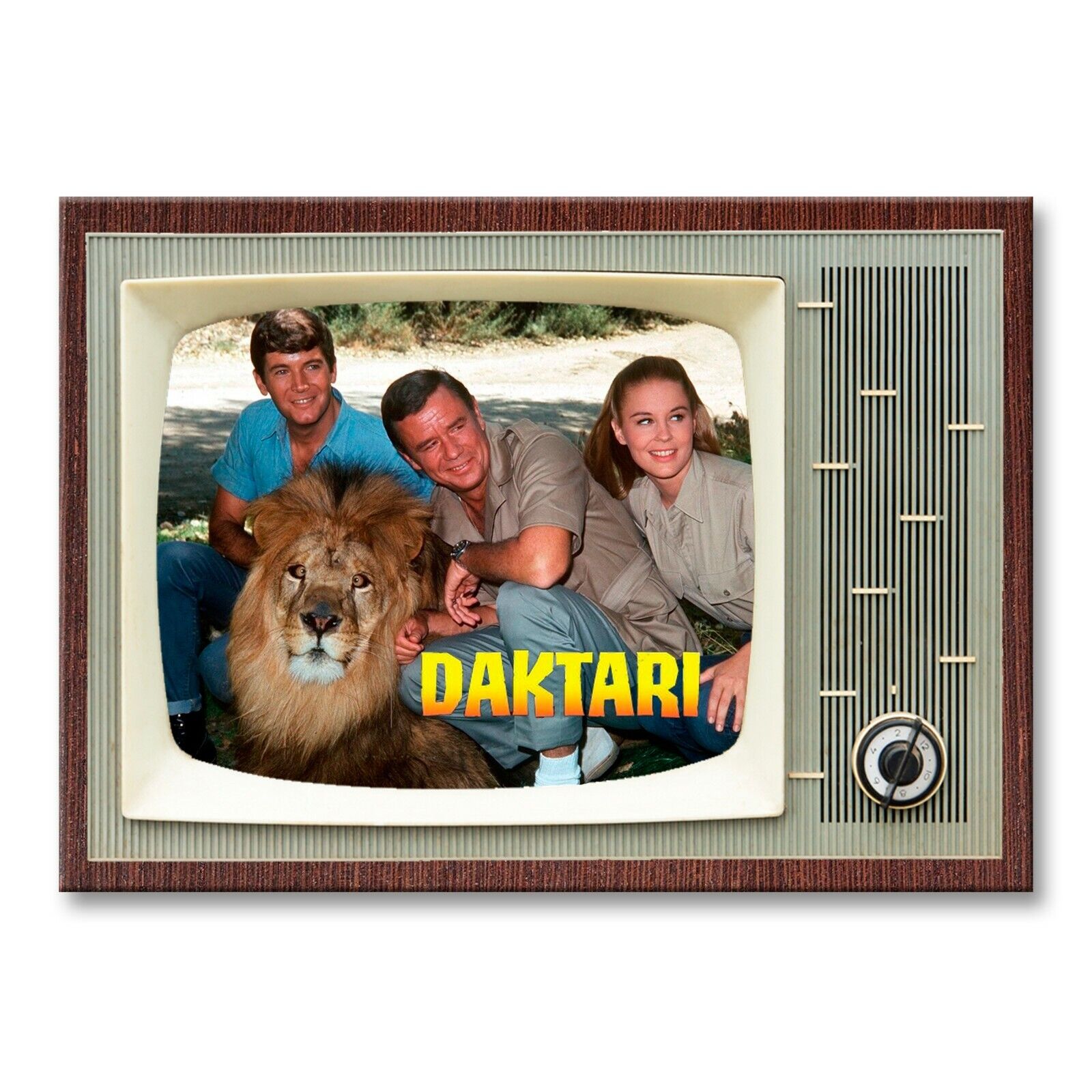 DAKTARI TV Show Classic TV 3.5 inches x 2.5 inches FRIDGE MAGNET