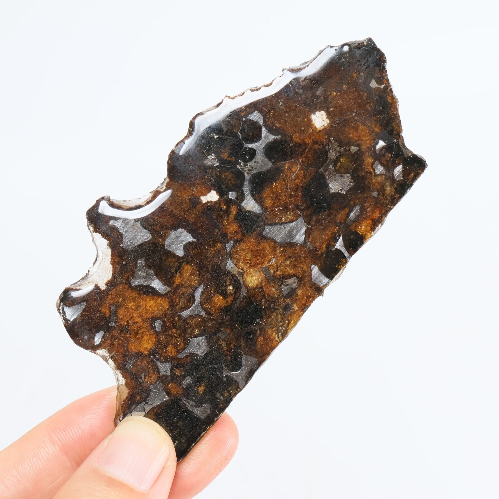 27g Sericho meteorite pallastie meteorite slice from Kenya R1587