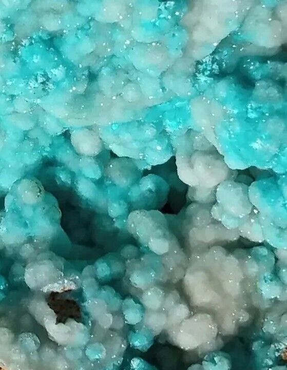 AAA+ Rare Furry Aurichalcite Botryoidal Hemimorphite Museum Quality Crystal 