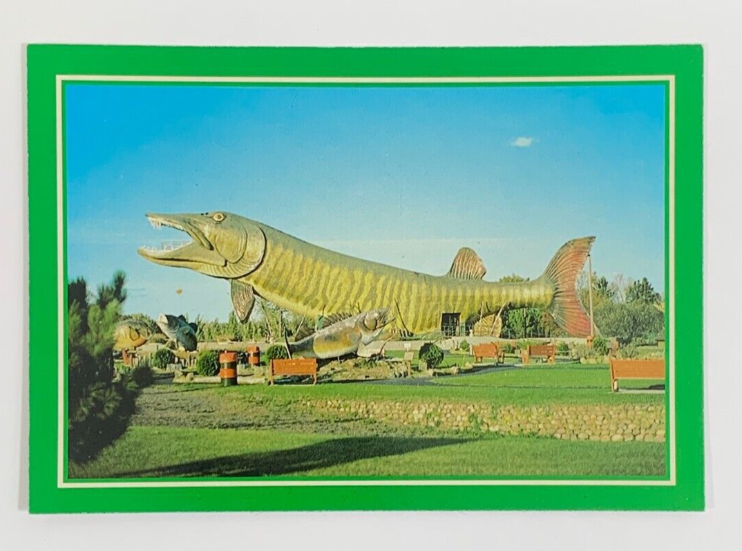 The Worlds Largest Musky National Fishing Hall of Fame in Hayward WI Postcard