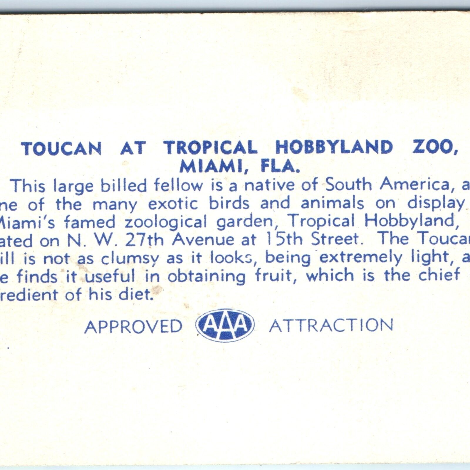 c1940s Miami, FL Linen Tropical Hobbyland Zoo Souvenir Card Toucan AAA Biz C44 