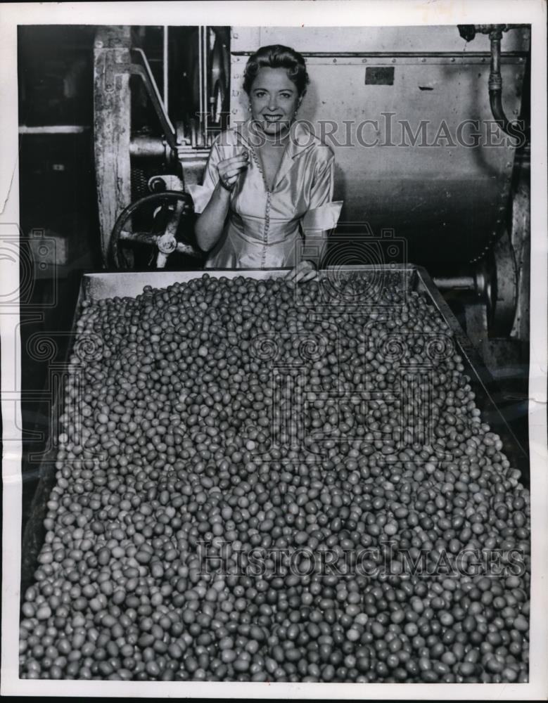1954 Press Photo New York Betty Ossola inspecting olives at J. Ossola Co. NYC.