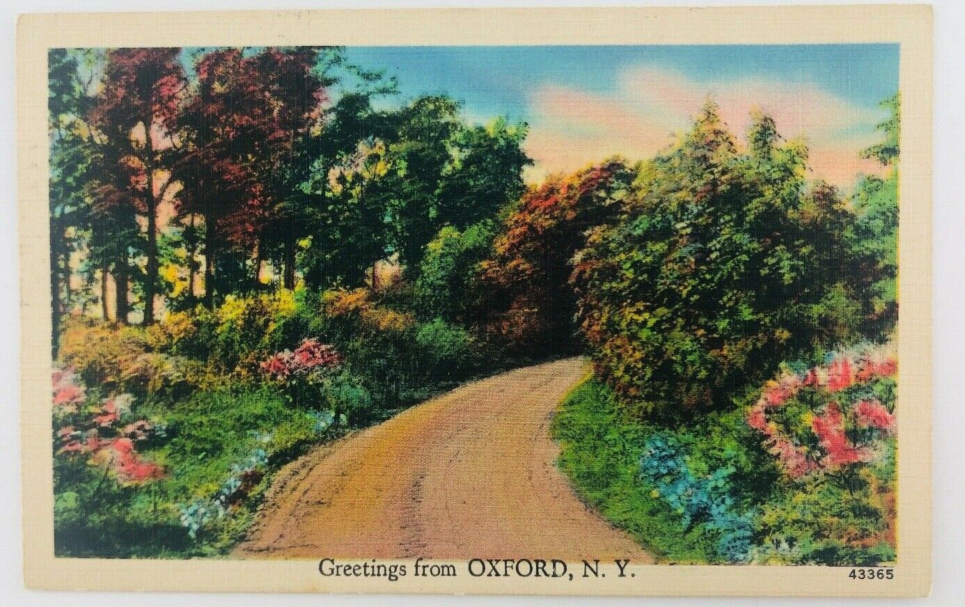 Vintage Oxford New York NY Greetings from Oxford NY Linen Postcard 1943 Lane 