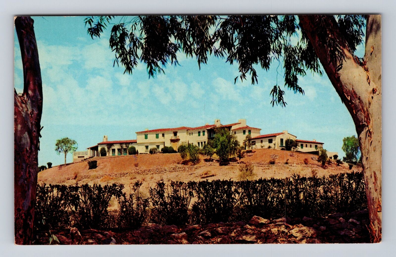 Phoenix AZ-Arizona, Wrigley Estate, Antique Vintage Souvenir Postcard