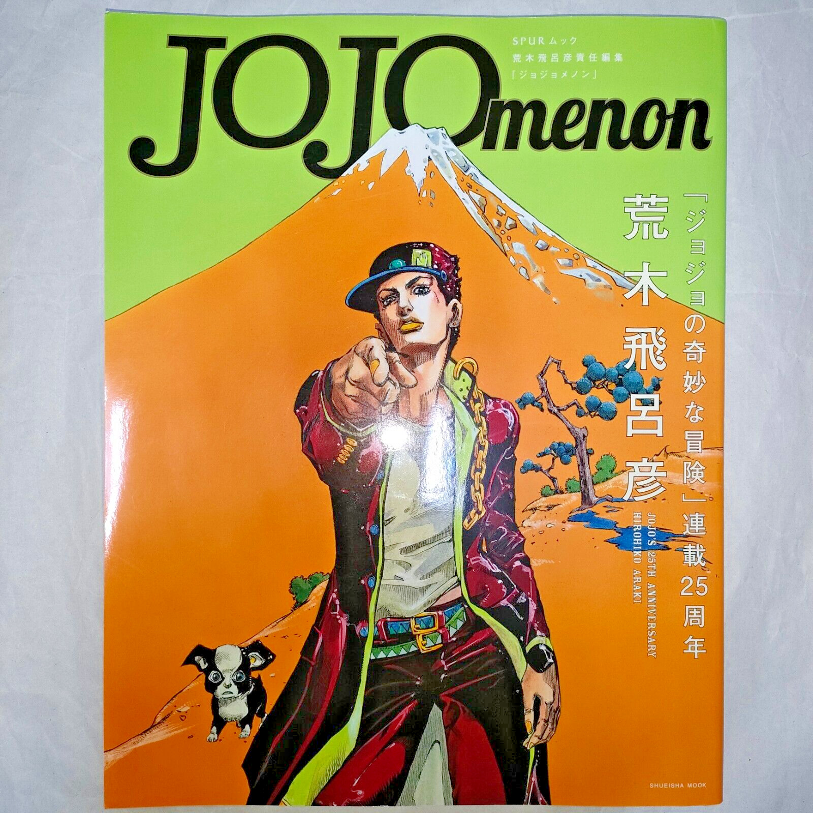 JOJO menon JoJo's Bizarre Adventure Hirohiko Araki Art Book with appendices
