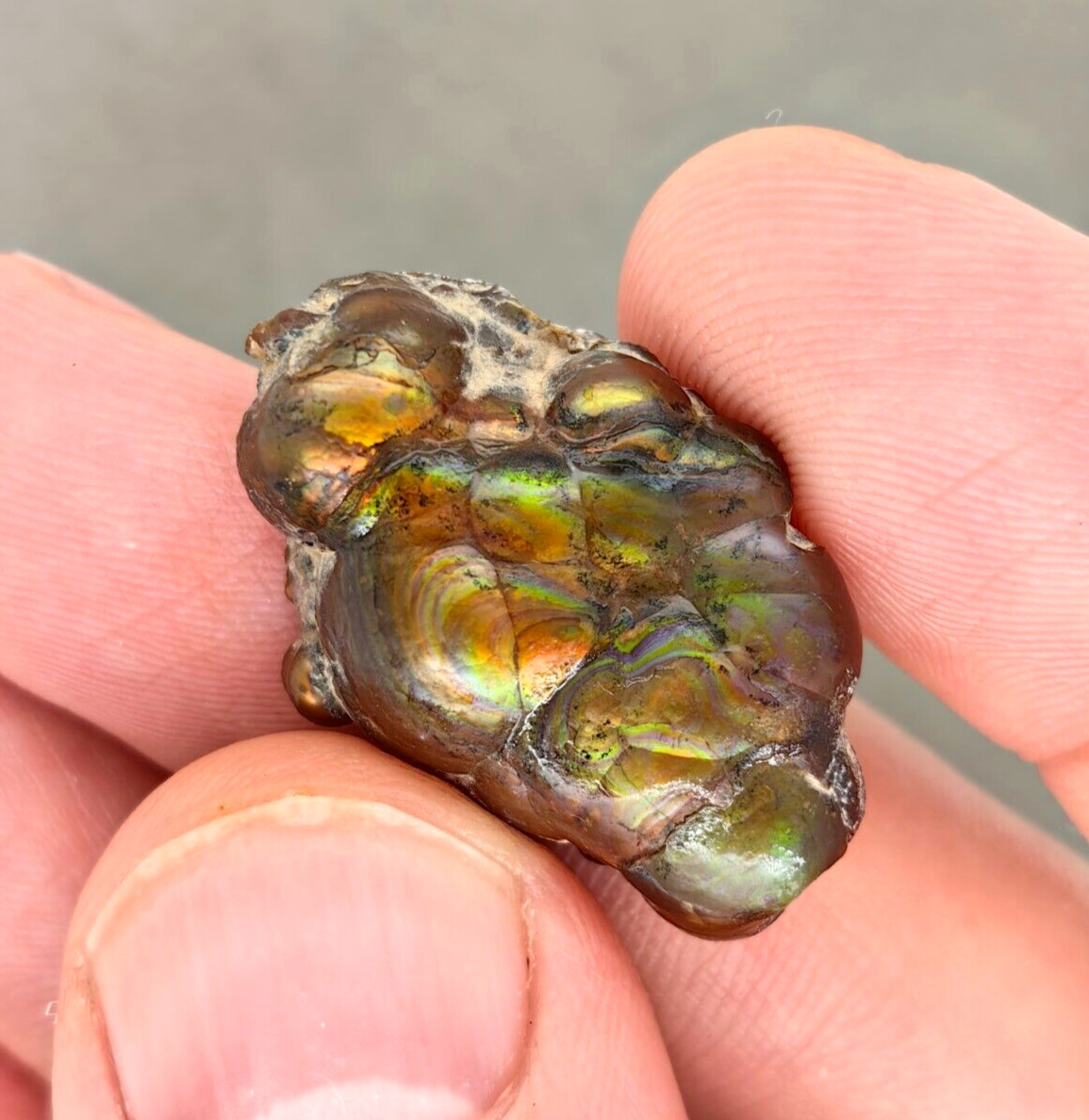 33.61 Ct Beautiful Iridescent Mexican Window Fire Agate Rough Specimen