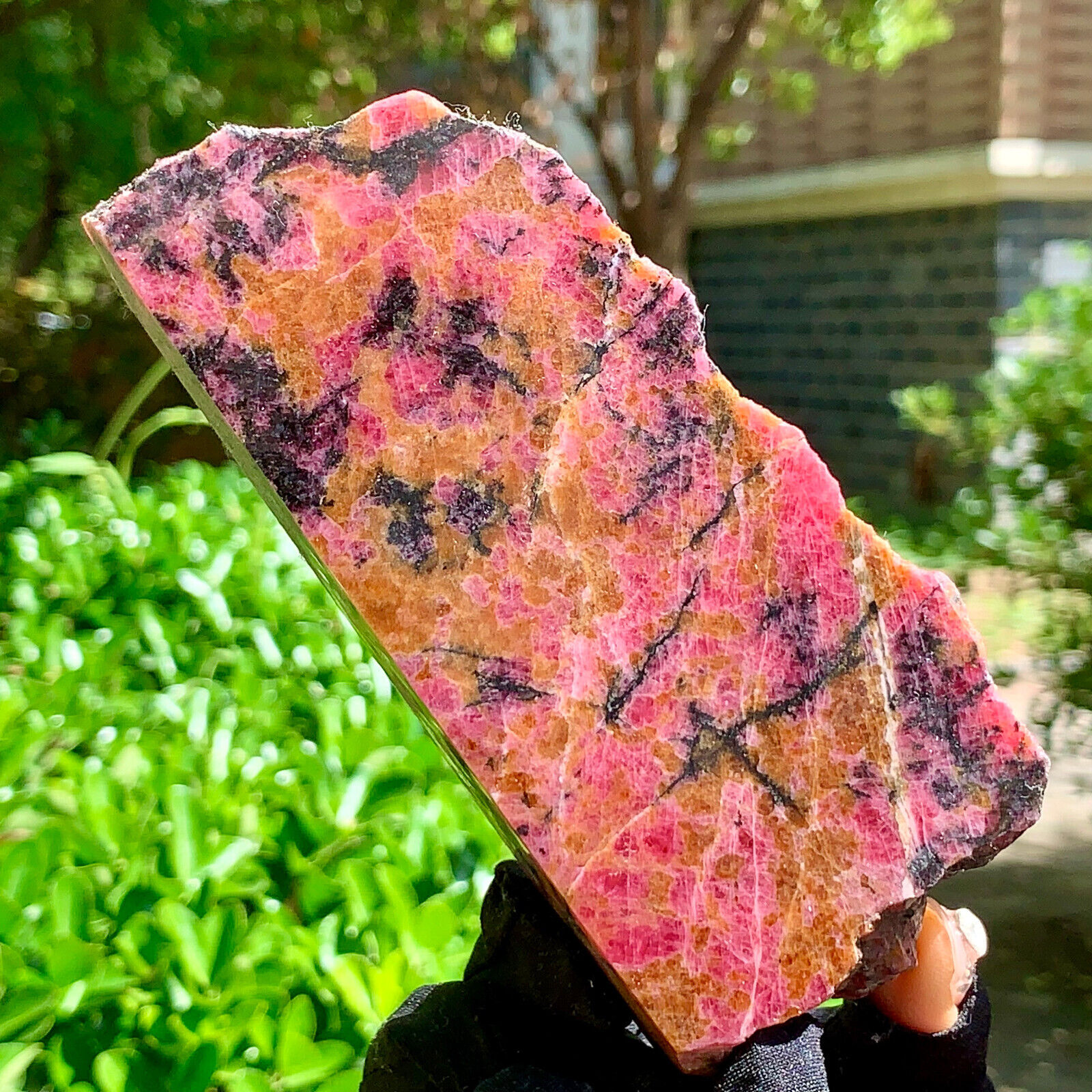 1.03LB Natural Amazing nature pink Rhodonite raw crystal mineral specimens