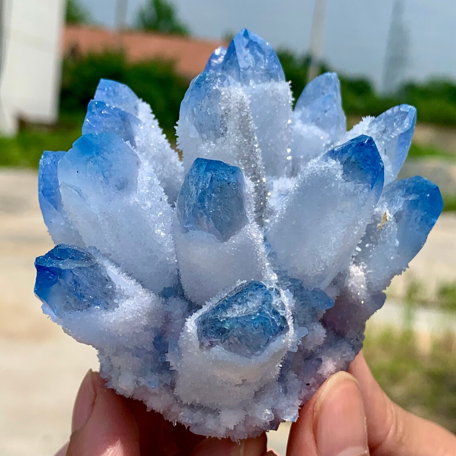 332G New Find BLUE  PhantomQuartz Crystal Cluster MineralSpecimen