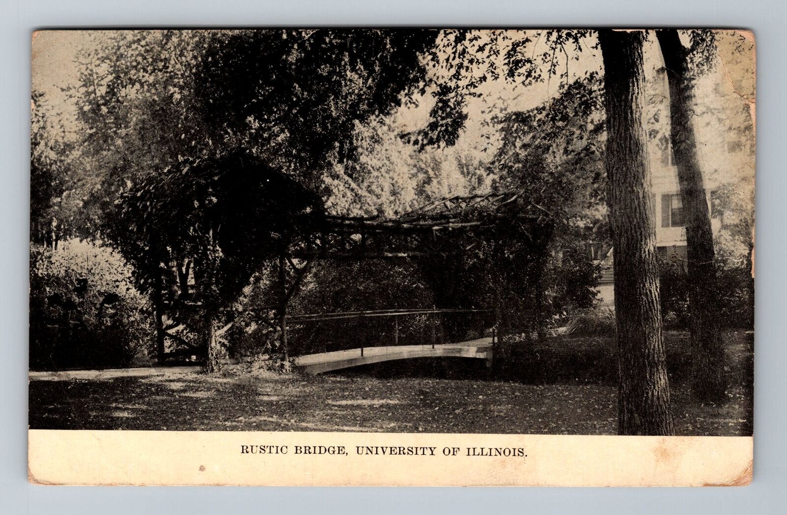 IL-Illinois, Rustic Bridge, University Scenic View, c1910 Vintage Postcard