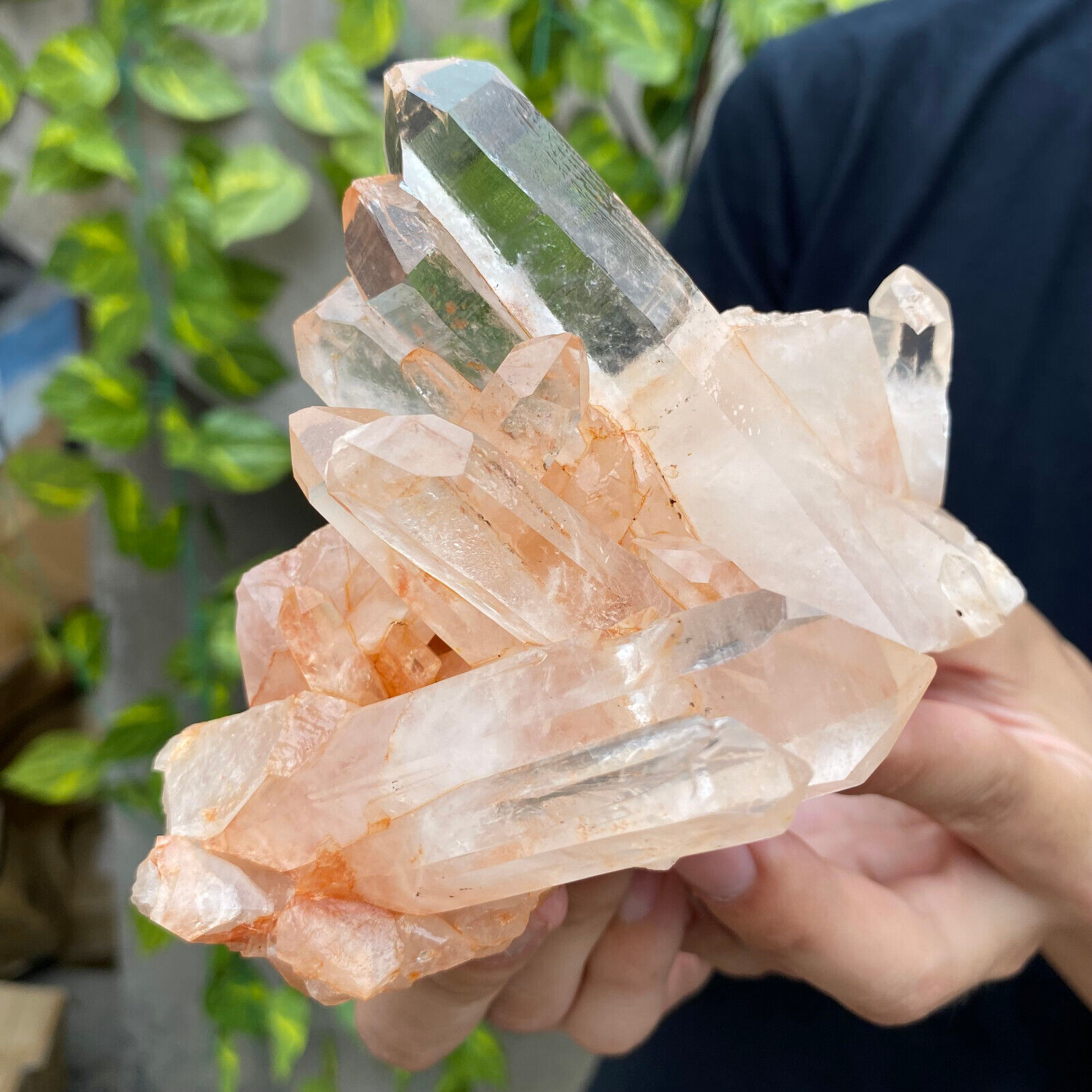 625g Natural White Clear Quartz Crystal Cluster Rough Healing Specimen