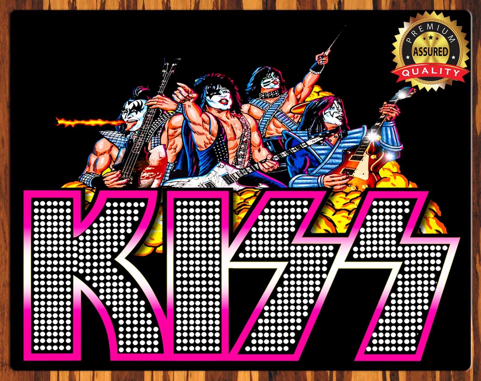 Kiss - Paul, Gene, Ace, Peter - Rare - Metal Sign 11 x 14