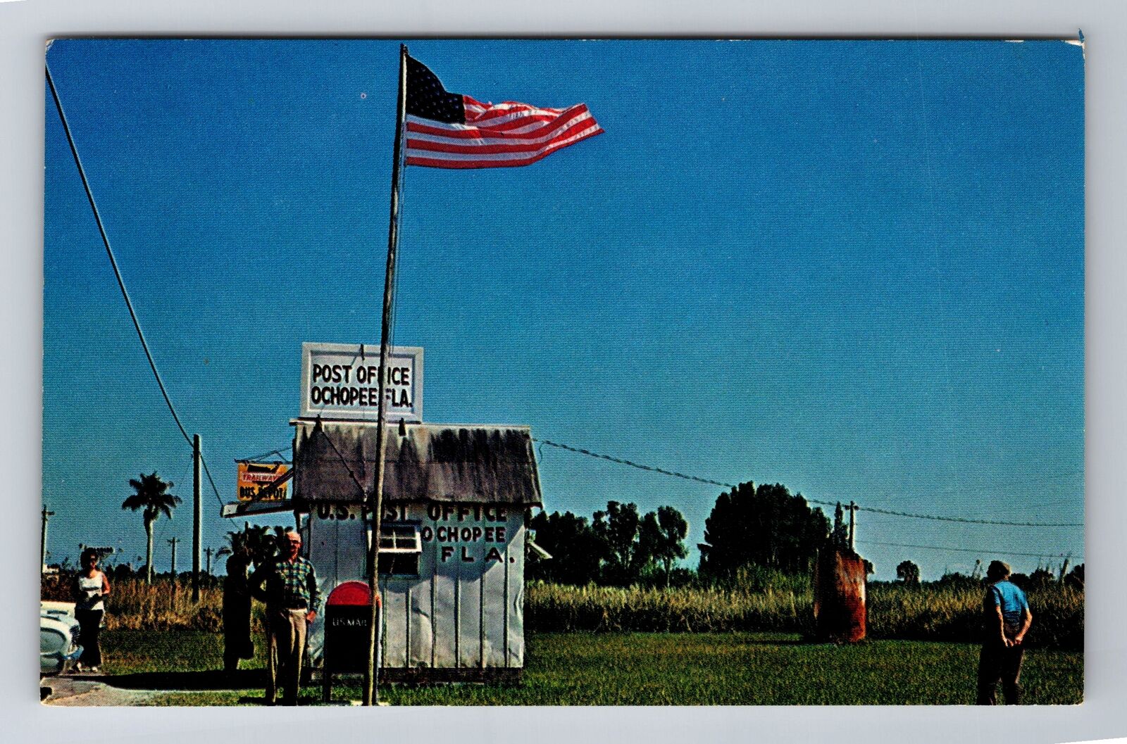 Ochopee FL-Florida, Smallest Post Office, Antique, Vintage Souvenir Postcard