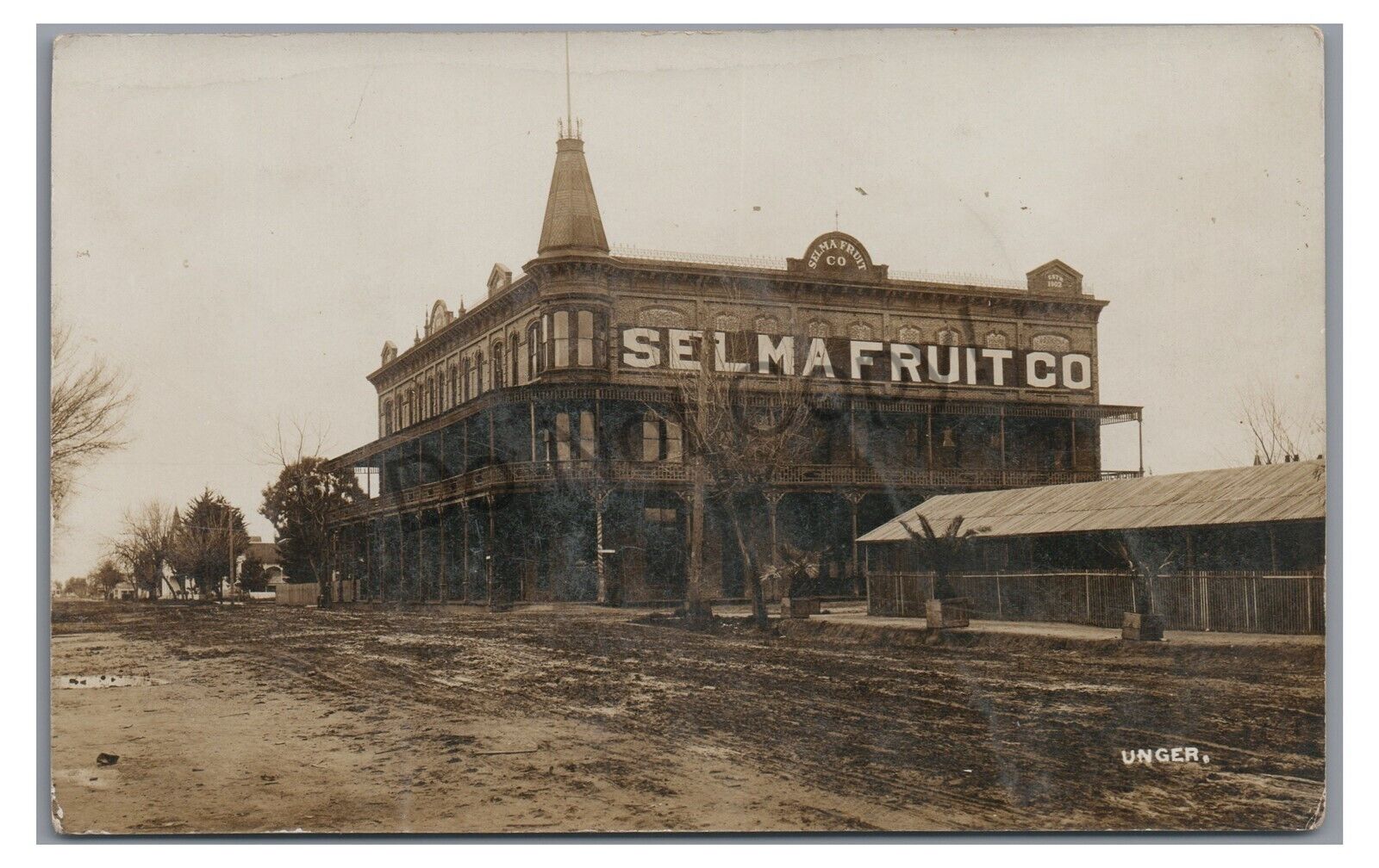 RPPC Selma Fruit Company Building SELMA CA Fresno County Real Photo Postcard