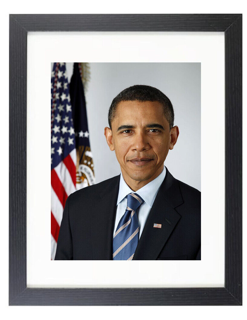 President Barrack Obama Official Portrait Democrat 8X10 Framed & Matted Photo