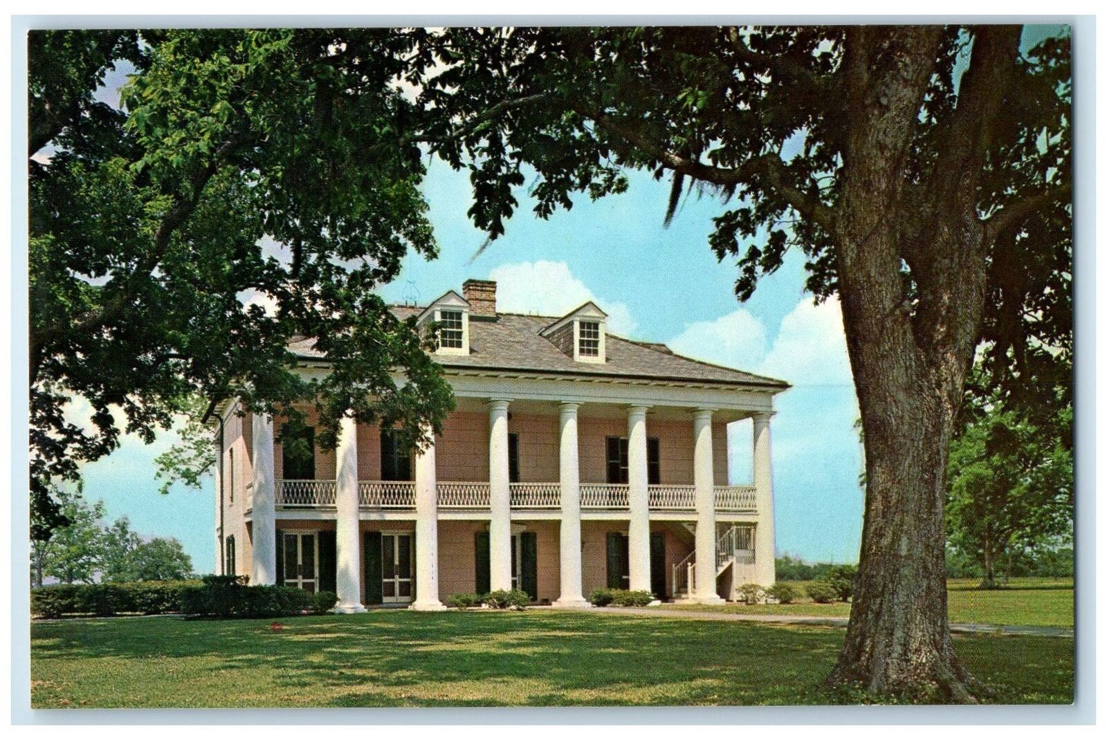 c1960\'s Chalmette National Historical Park New Orleans LA Unposted Tree Postcard