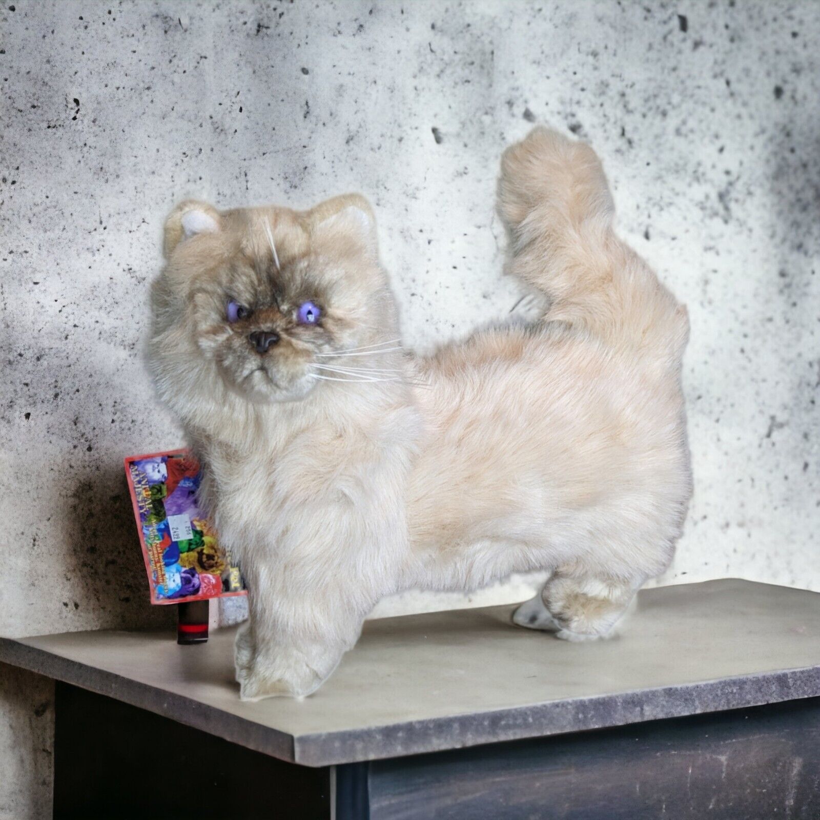 ANIMAL MAJESTY Realistic Life Size Persian Cat Purple Eyes Rare Plush Figure 