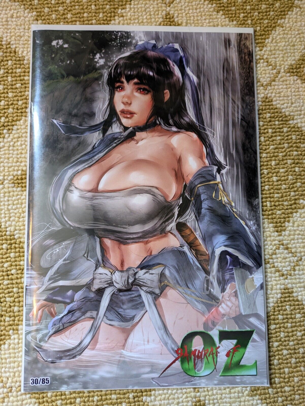 Samurai of Oz #1 - Waterfall Dorothy Variant 30 of 85 Cover by Ale Borgobello