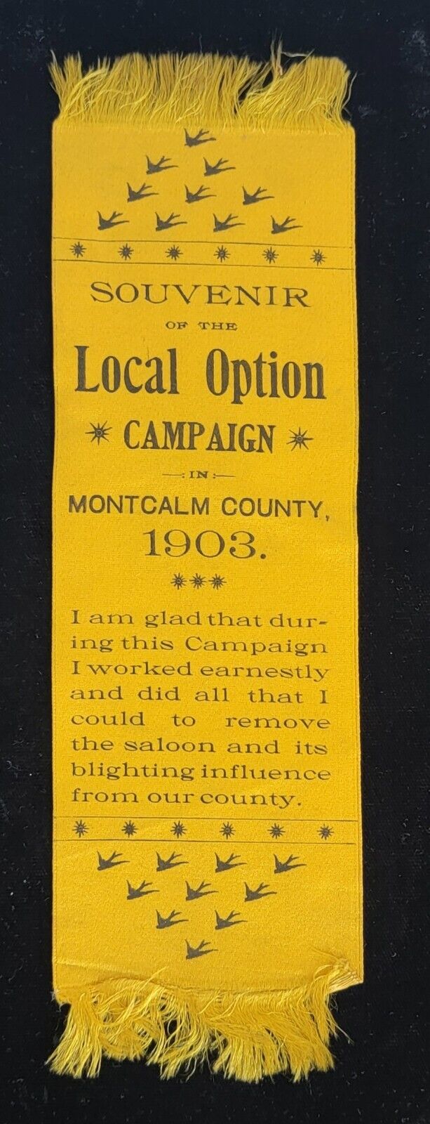 Antique 1903 Pre-Pro LOCAL OPTION CAMPAIGN Temperance Ribbon Montcalm County MI