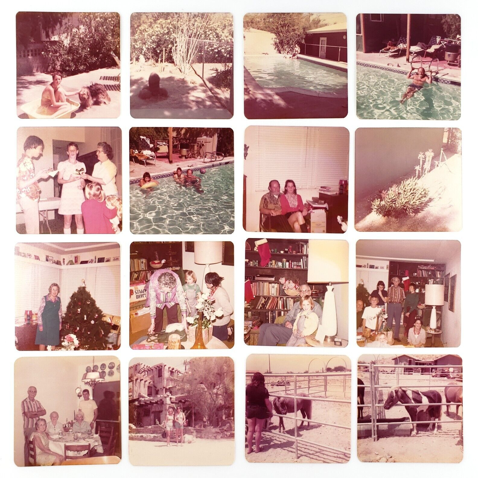 Vintage Found Square Color Snapshot Lot 1970s Christmas Tree Dog Pool B3531
